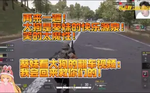 Download Video: 【葵妹】再来一遍！大狗是葵妹的快乐源泉！笑的太魔性！葵妹看大狗的翻车视频：我会回来救你们的！