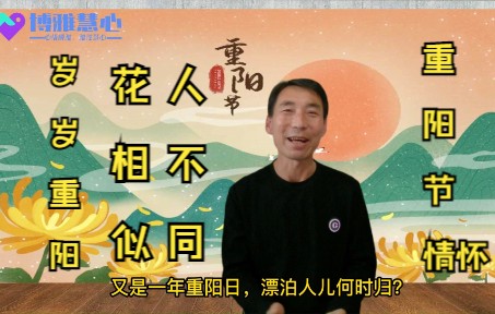 易经话重阳节情怀:又是一年重阳日,漂泊人儿何时归?哔哩哔哩bilibili