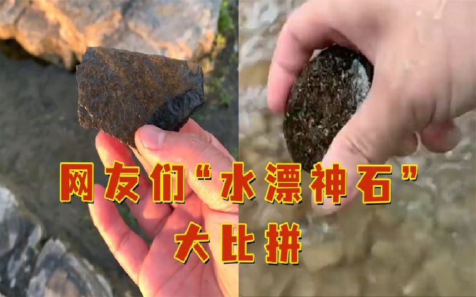 网友们“水漂神石”大比拼!网友:石头是好石头,就是技术有点拉哔哩哔哩bilibili