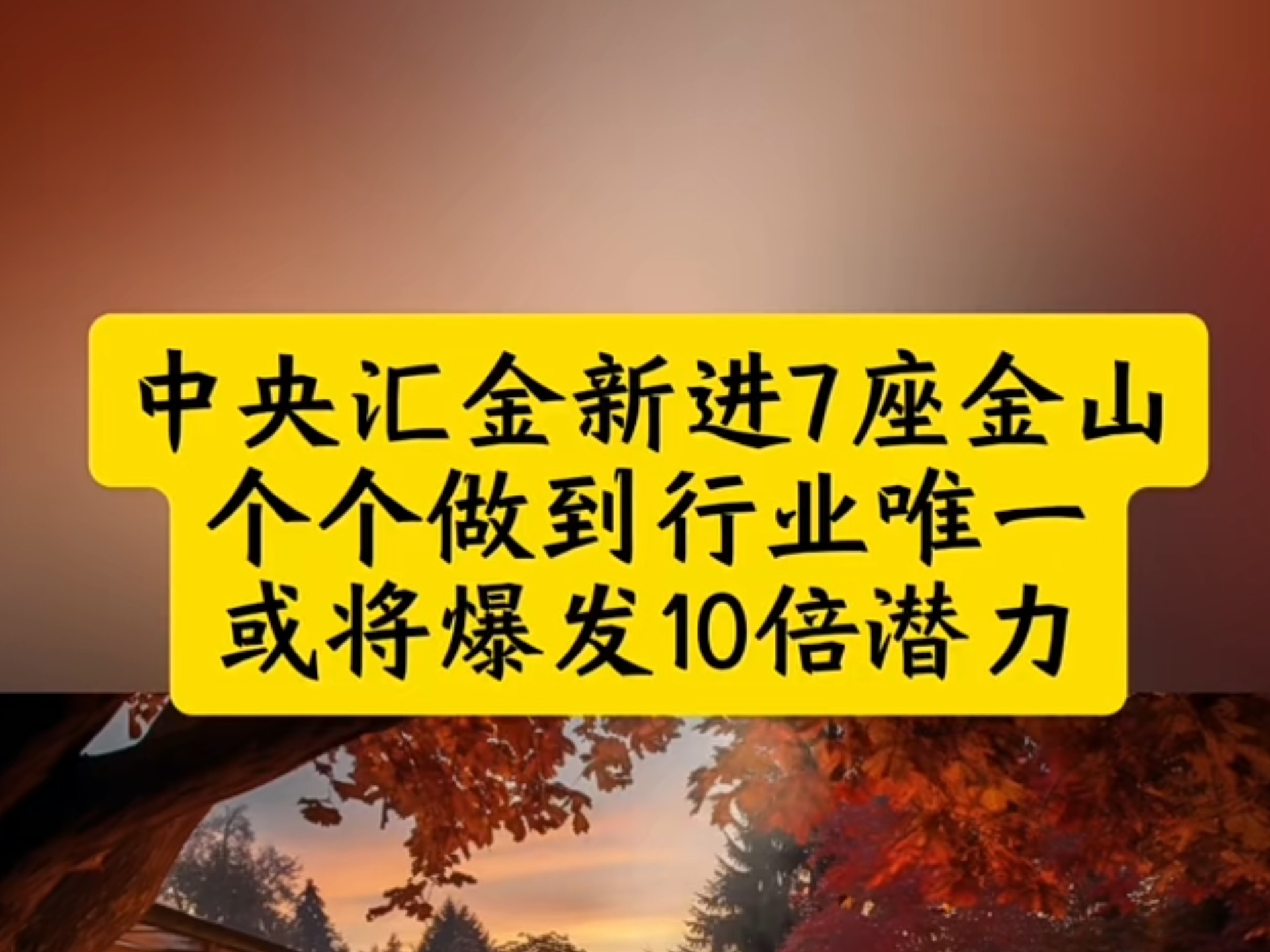 中央汇金新进7座金山,个个做到行业唯一,或将爆发10倍潜力哔哩哔哩bilibili