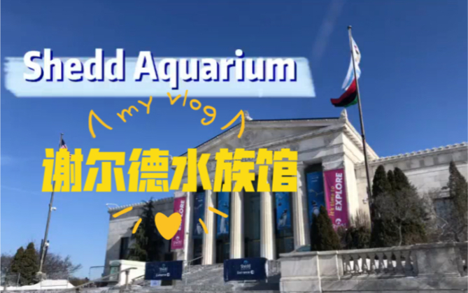 活动作品生活vlog5sheddaquarium谢尔德水族馆