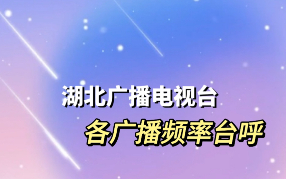 湖北广播电视台各广播频率2024台呼哔哩哔哩bilibili