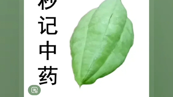 [图]《白话中药400味》第254味 竹茹