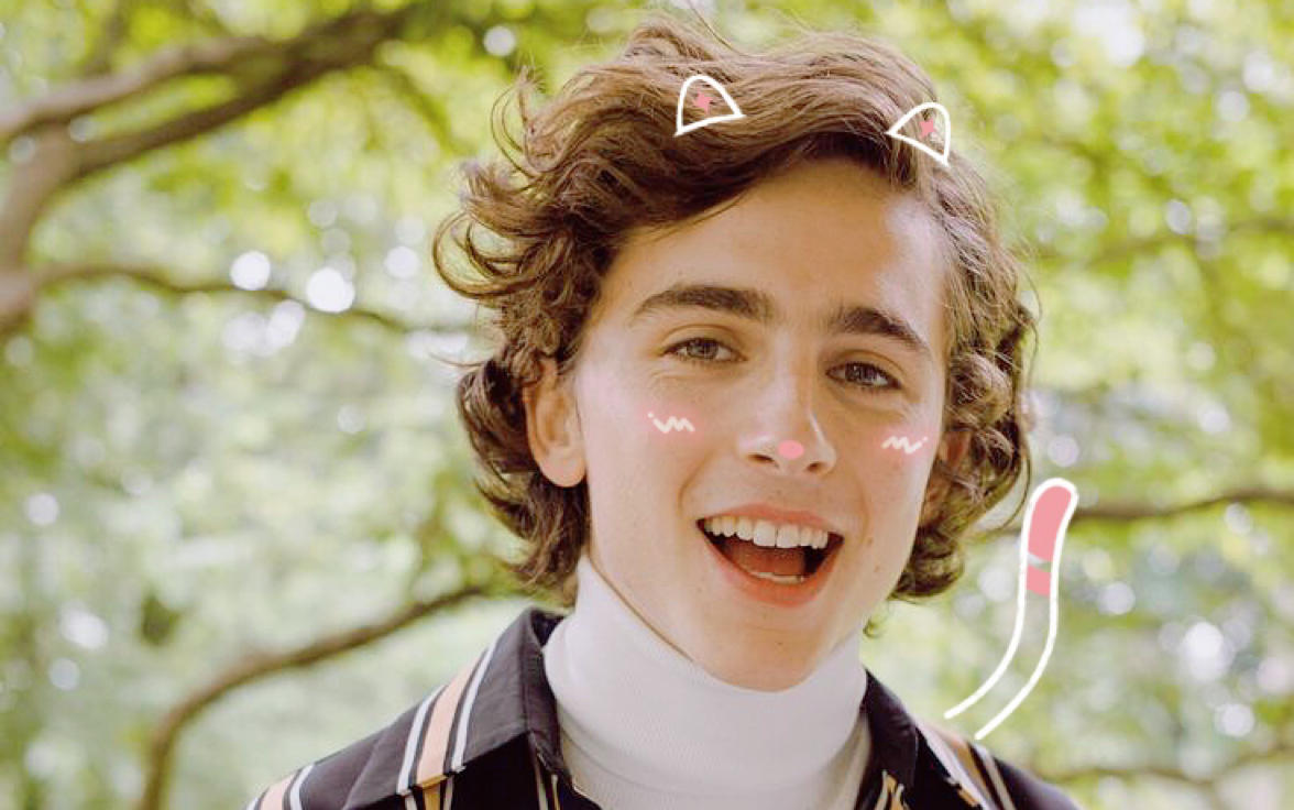 甜茶甜茶爆笑的统计学之歌感谢锤哥让我们知道了这一首好歌www