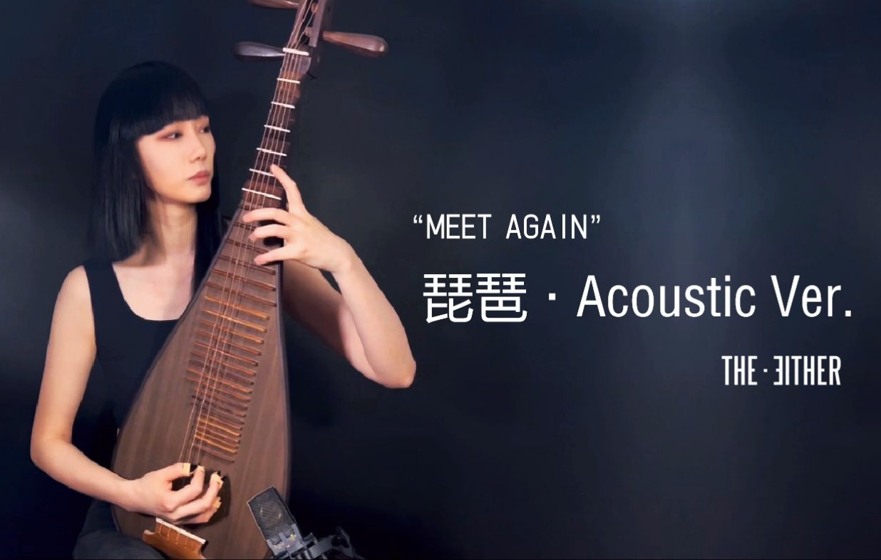 [图]【琵琶】传统琵琶全新演绎Meet Again（acoustic版）