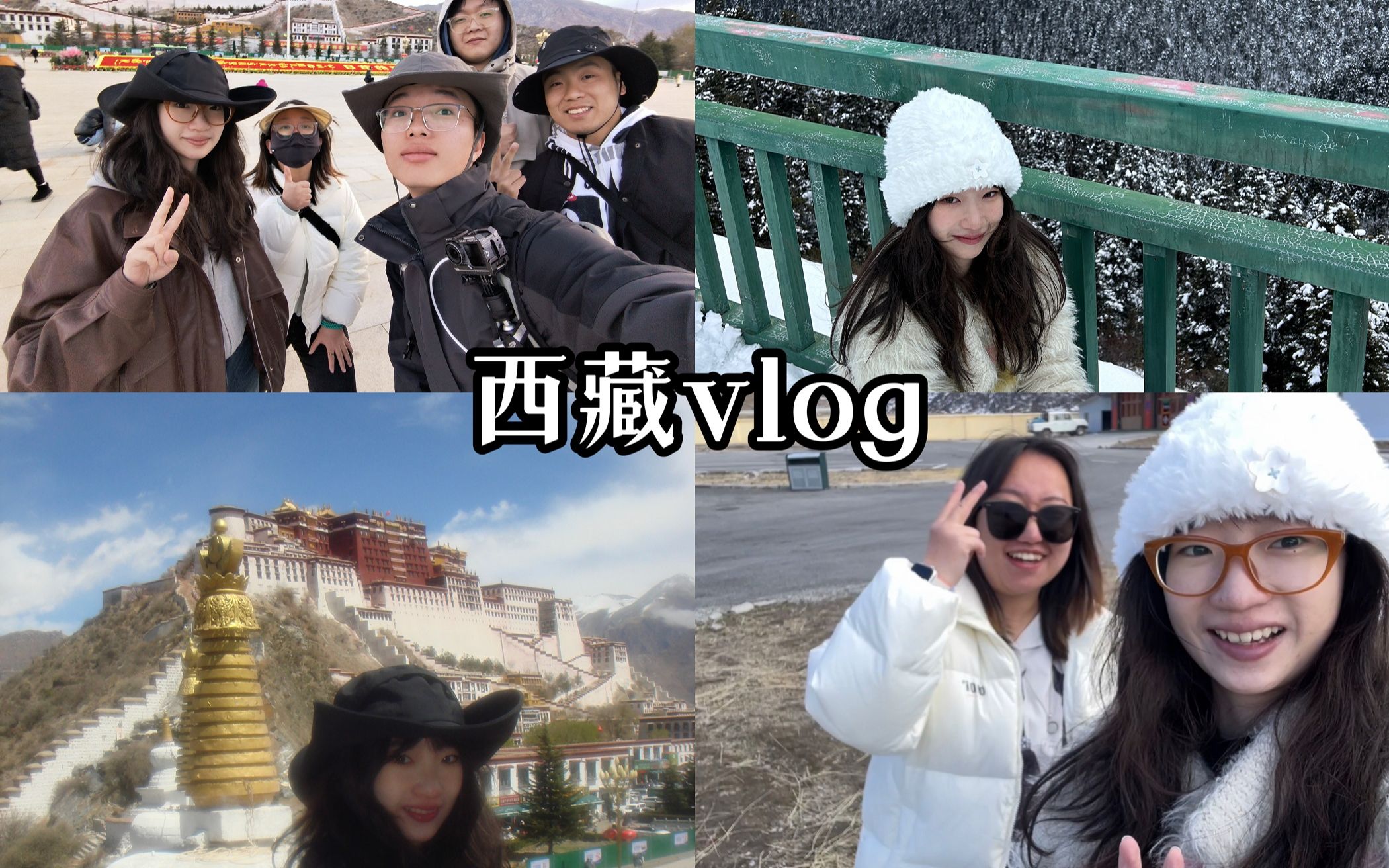 逃离ep.1 | 拉萨流水账记录 | 布达拉宫 | VLOG哔哩哔哩bilibili