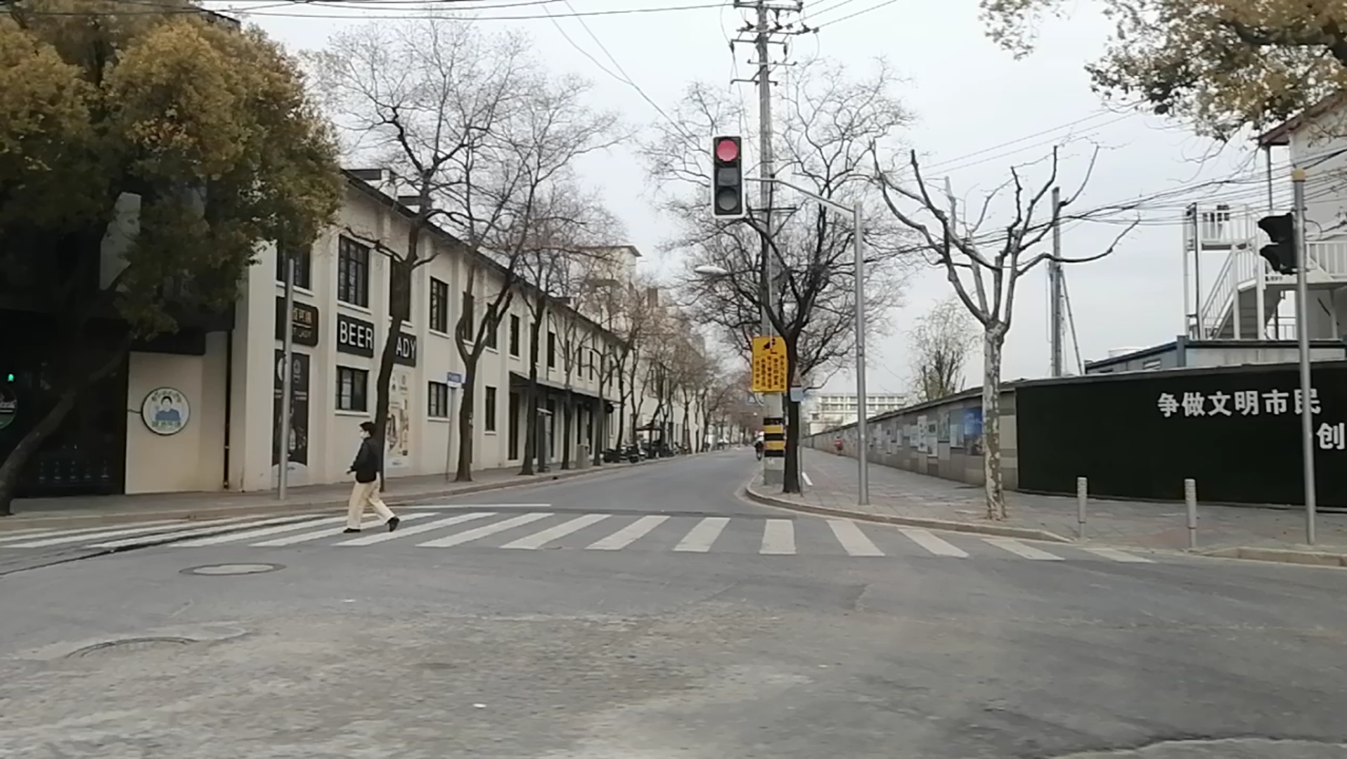 祁连山路真南路街景 沿途樱花盛开 上海市普陀区桃浦镇20230329