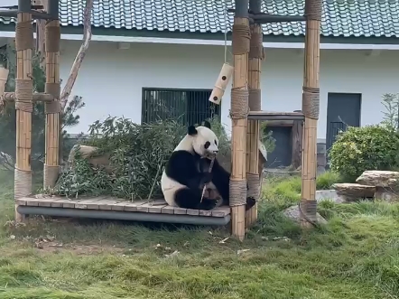 济南动物园有什么动物图片