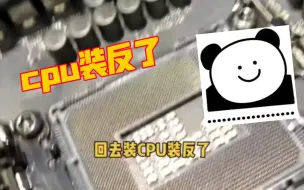 Descargar video: 小伙子cpu还能装反，真是人才