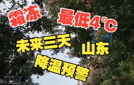 霜冻+最低温4℃!山东未来三天以多云间晴天气为主 气温略有下降哔哩哔哩bilibili