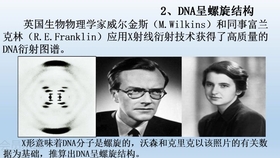 哔哩哔哩