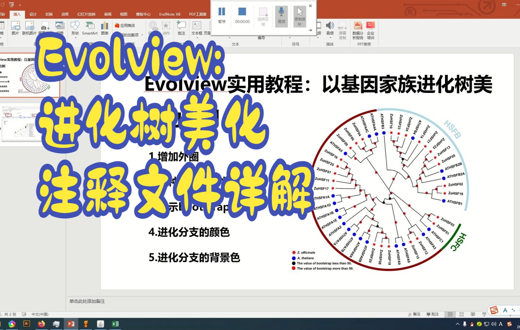 Evolview进化树美化:以基因家族进化树美化为例(声音较小建议戴耳机观看)哔哩哔哩bilibili