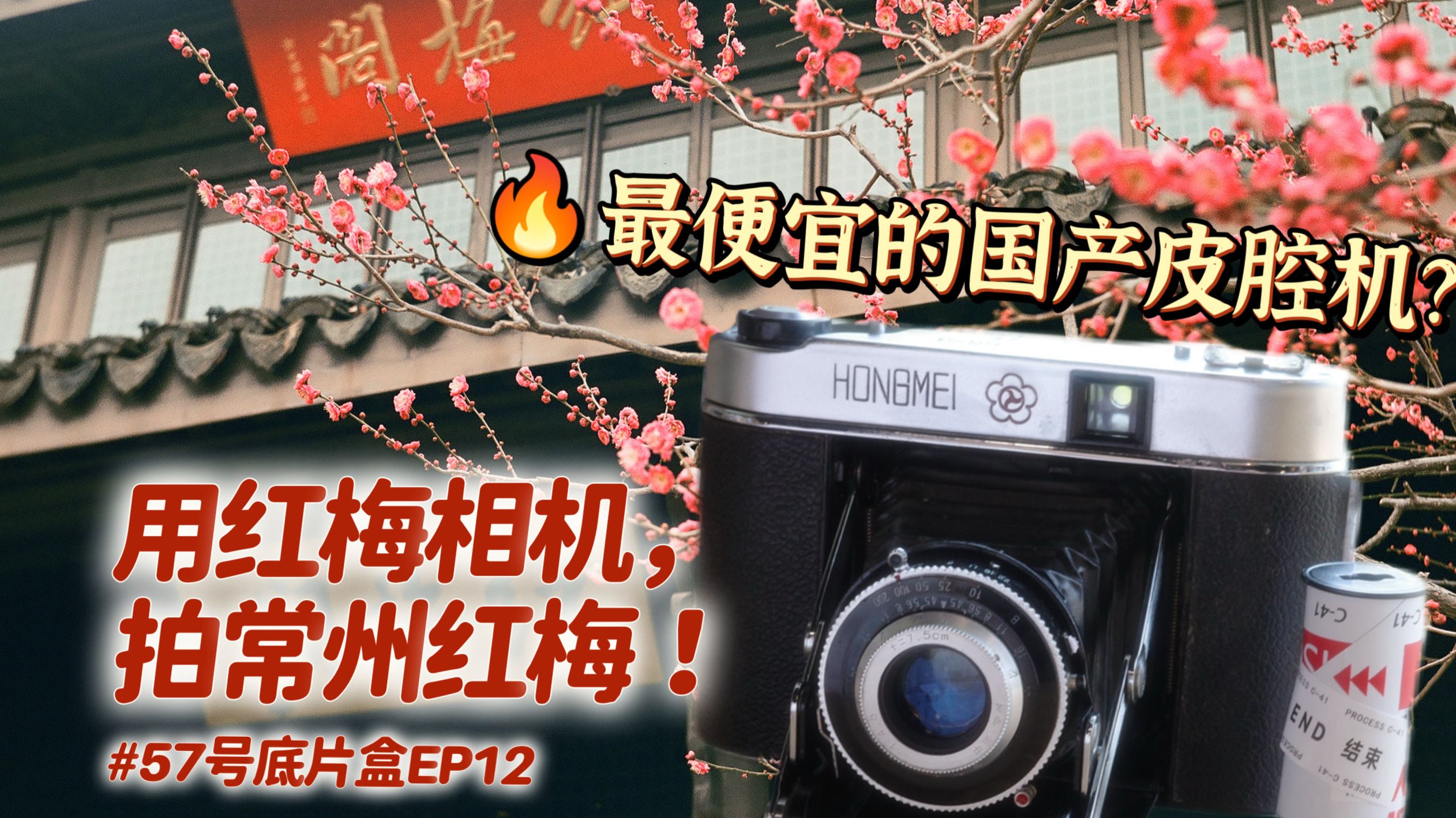 80年代红梅相机价格