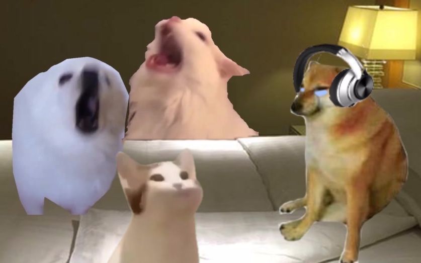 活动作品cheems我哭了你呢