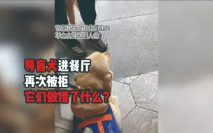 Download Video: 导盲犬进餐厅被拒，它们做错了什么？