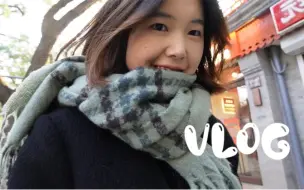 Скачать видео: 北京VLOG. 去一次就彻底爱上北平的秋天 ;-) 冰糖葫芦和驴打滚自由