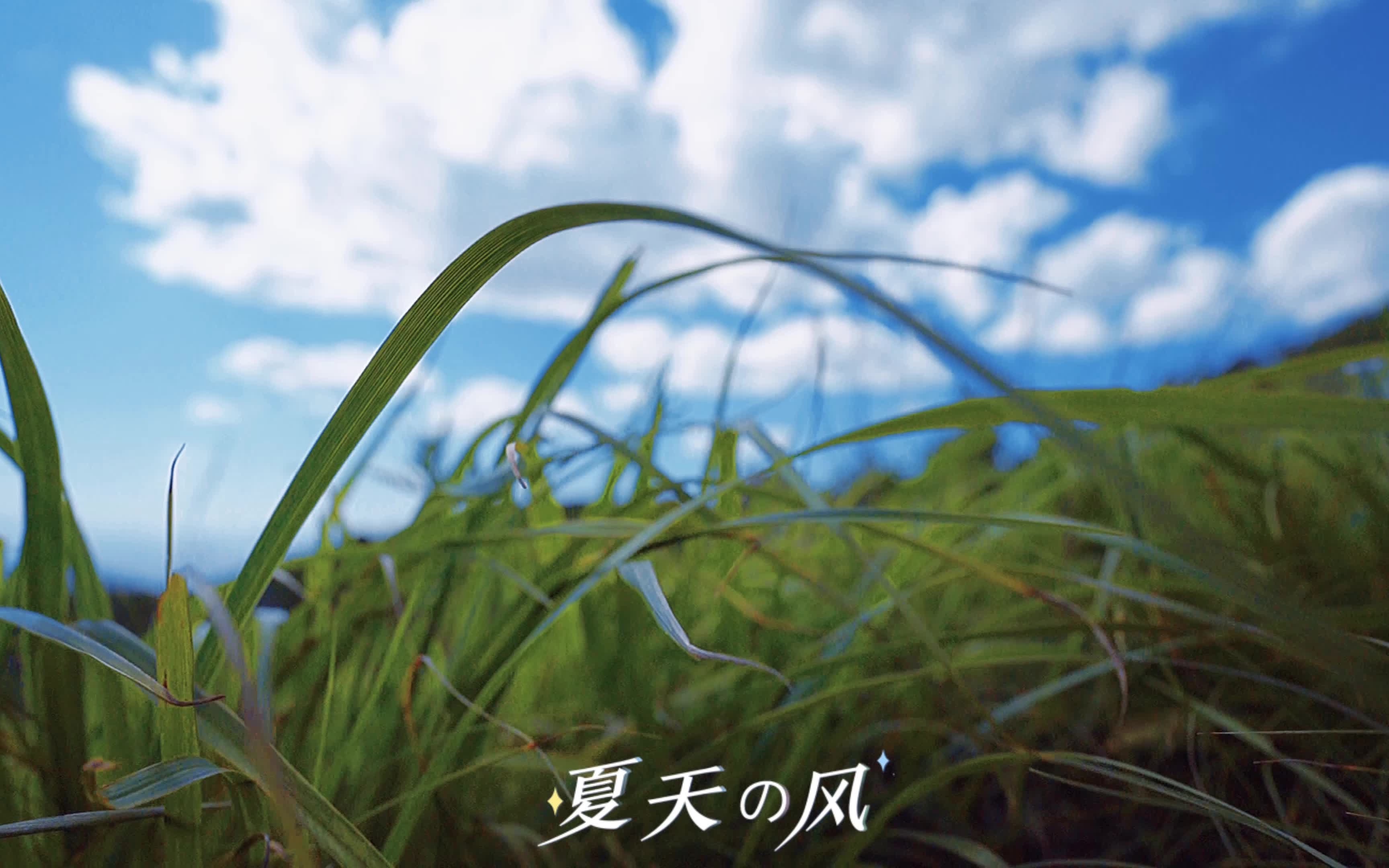 我们会在无数个夏天的风中相遇.