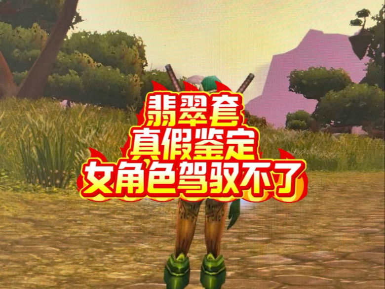 难道魔兽还有另外一套翡翠套装么#魔兽世界 #巫妖王之怒 #新魔兽80