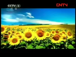 Download Video: 【本工作室·朝花夕拾】2011.9.23（孙晨阳的爷爷生日）CCTV1 国际艺苑18:02中场广告（我必须狠狠地报复侯艺玮和她的初中闺蜜孙晨阳）