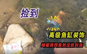 Download Video: 小河边捡到高级鱼缸装饰，蜂蜜诱饵竟然一条鱼没有抓到，河虾爆网