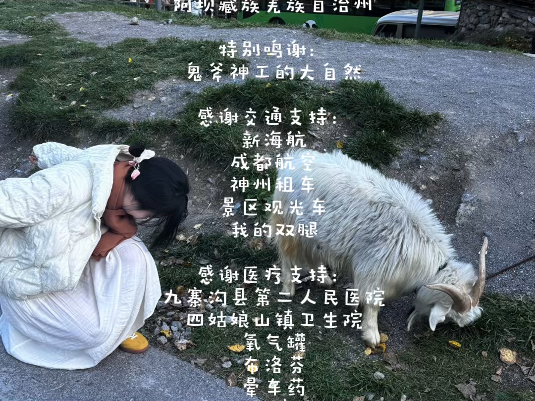 四川MVP结算画面