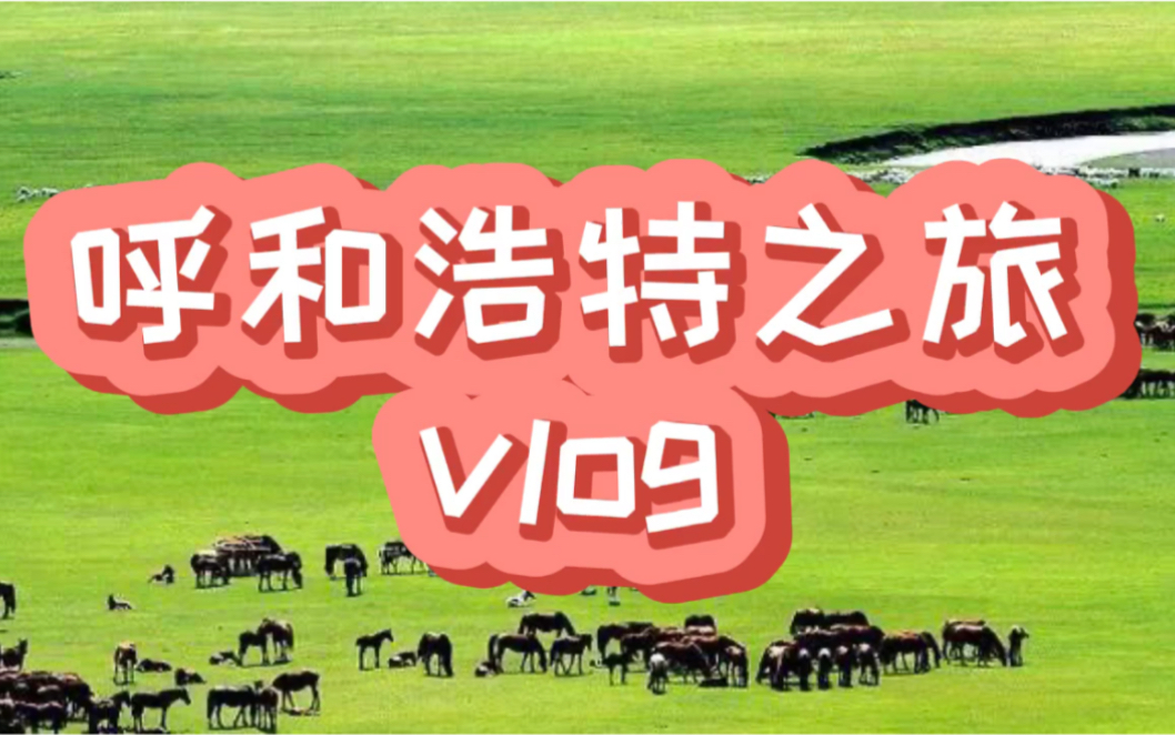 [图]呼和浩特之旅vlog，逛召寺，涮羊肉，吃蒙餐，爽歪歪！