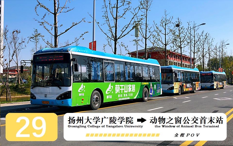 扬州公交公司图片图片