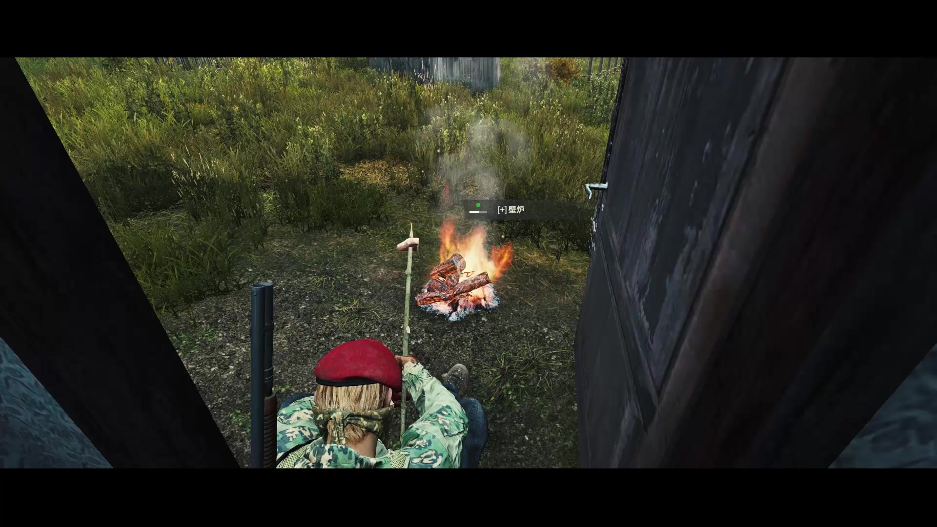 【最硬核的生存游戏-从屌丝到全副武装】dayz1.