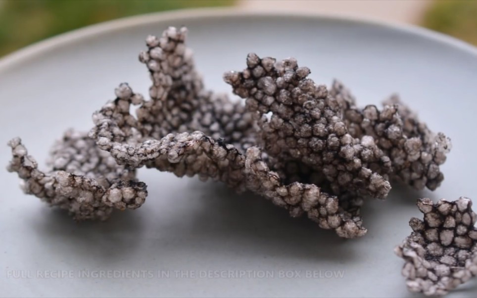 分子料理教学 墨鱼汁脆脆片 HOW TO MAKE EASY SQUID INK TAPIOCA CRACKERS哔哩哔哩bilibili