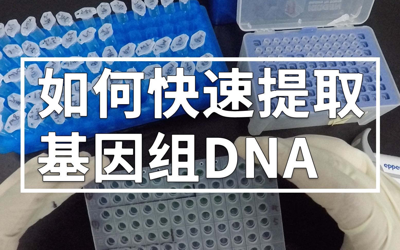 [图]「科研」如何快速提取基因组DNA（碱煮法）