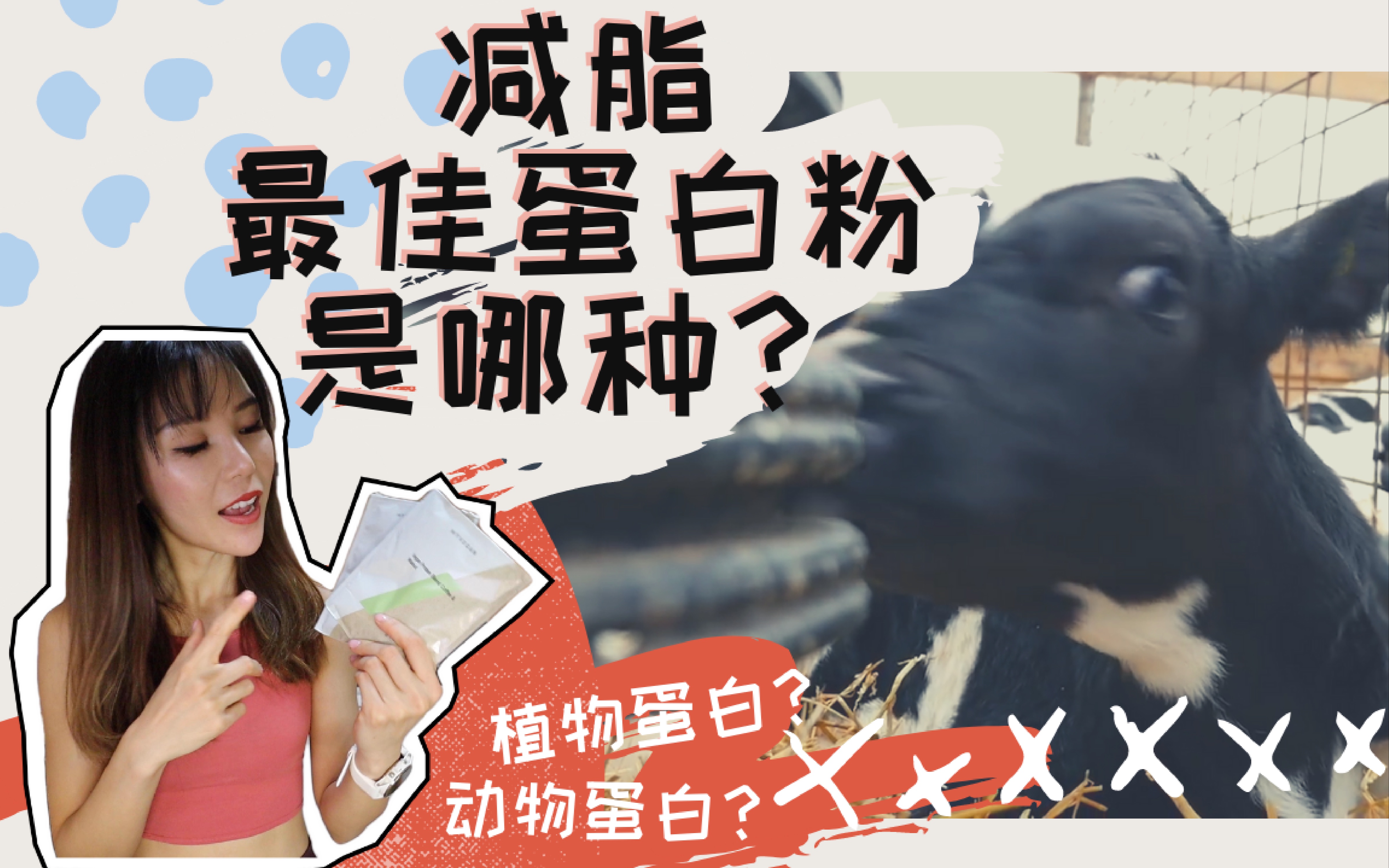 【减脂期最佳蛋白粉,是哪种?】哔哩哔哩bilibili