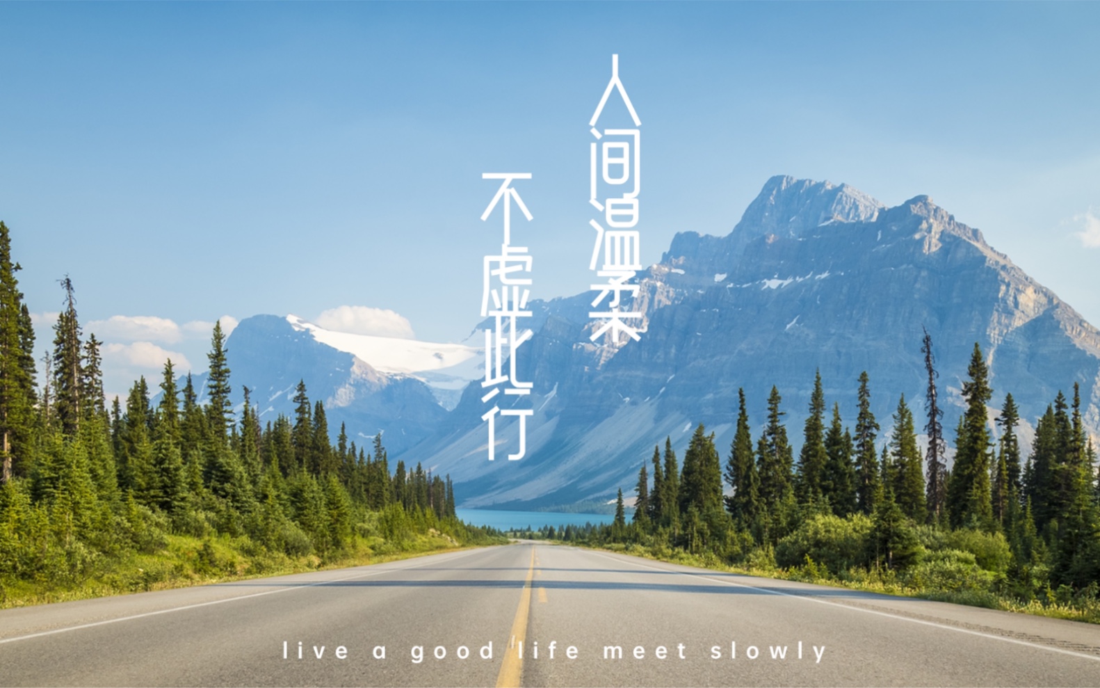 人间温暖,不虚此行——我的一次疗愈记录_哔哩哔哩_bilibili