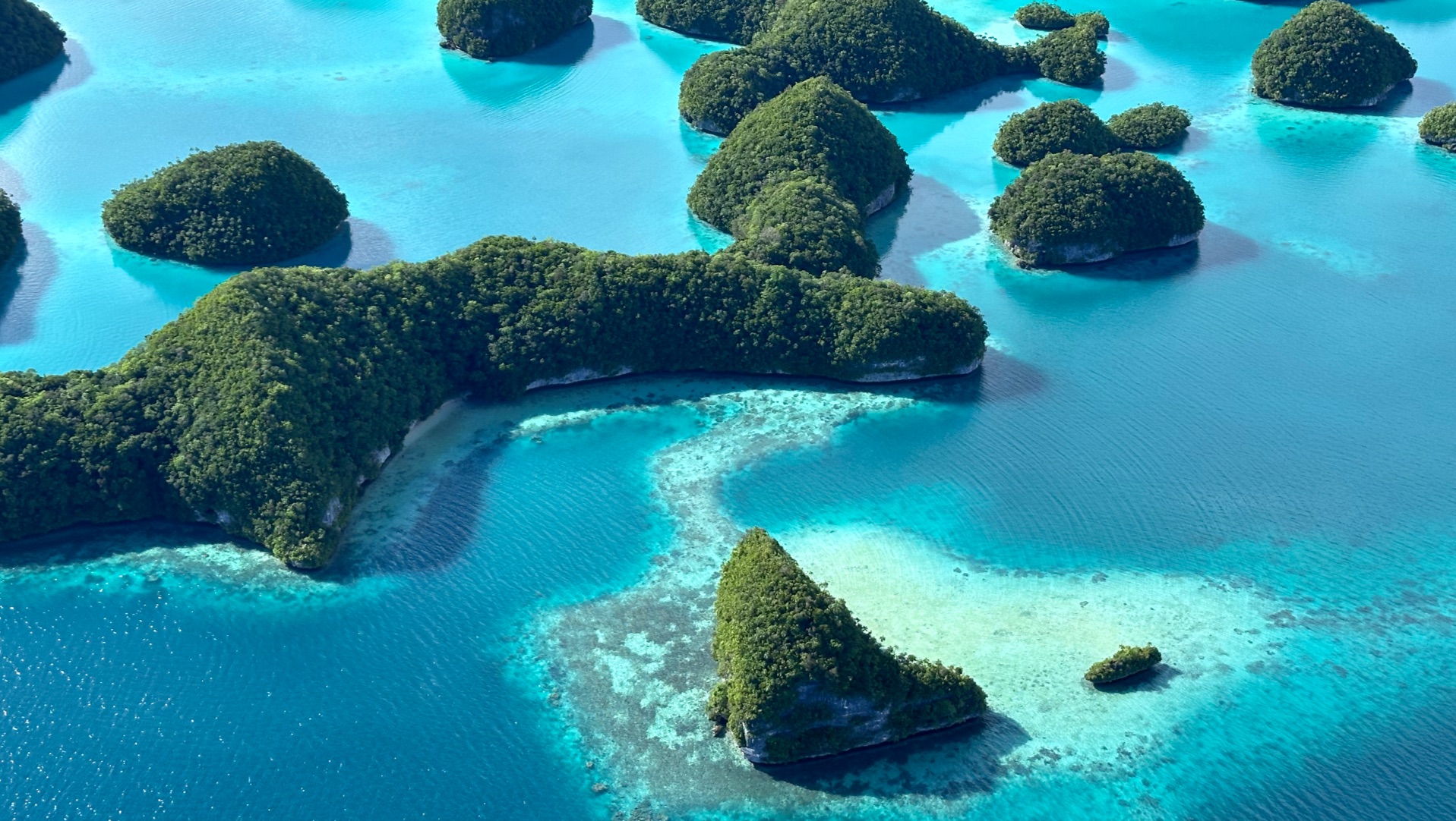 在帕劳看到蓝色地球