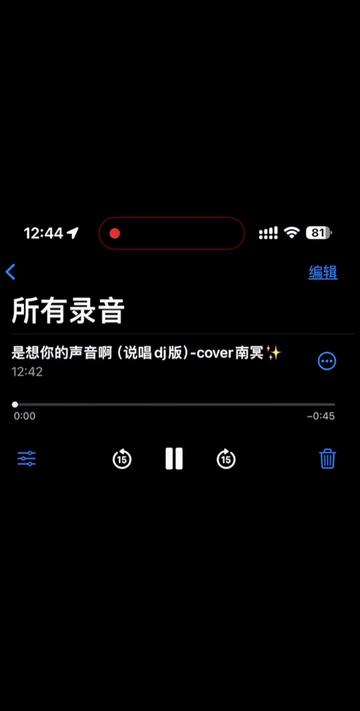 [图]是想你的声音啊dj说唱版翻唱