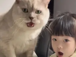 Descargar video: 小猫咪虽然不会说话，但他其实什么都懂！