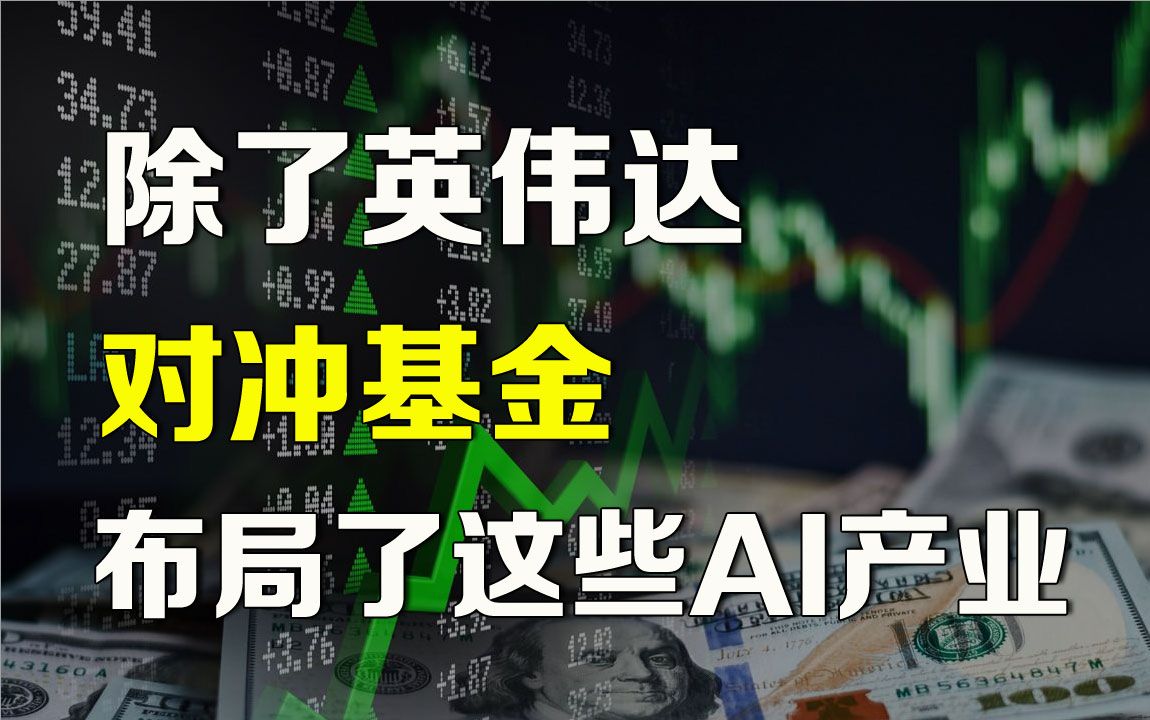 除了英伟达,对冲基金布局这些AI产业股哔哩哔哩bilibili