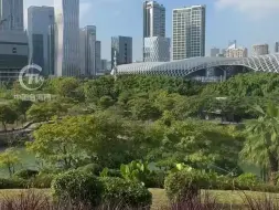 Tải video: 美国商人拍摄城市视频发布网络，引发外国网友热议：要亲自去看看，不要被媒体欺骗！