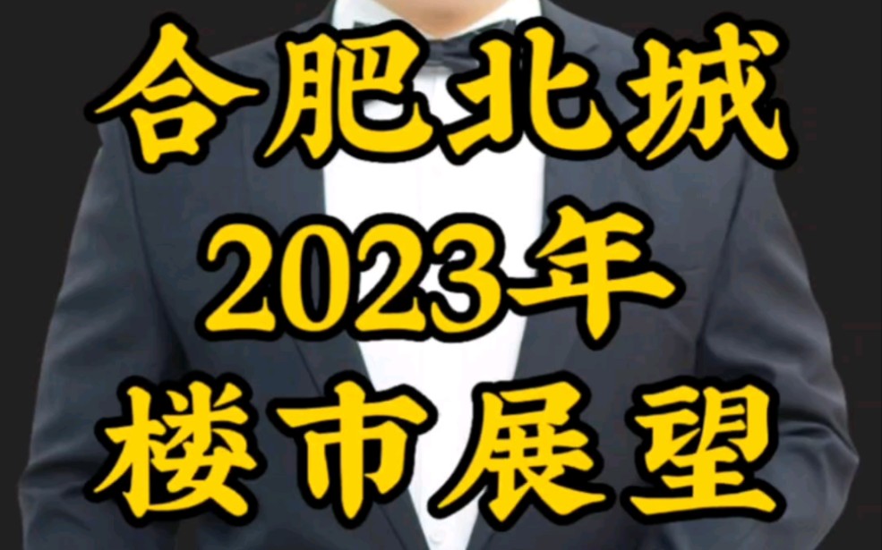 后疫情时代,2023年楼市该如何运转北城新房篇哔哩哔哩bilibili