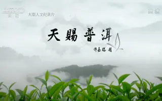 普洱茶纪录片《天赐普洱》全集汉语中字高清纪录片