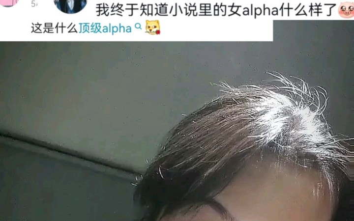 女alpha是什么意思?哔哩哔哩bilibili