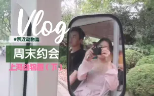 上海动物园VLOG（下）-动物篇 千万不要中午去逛动物园