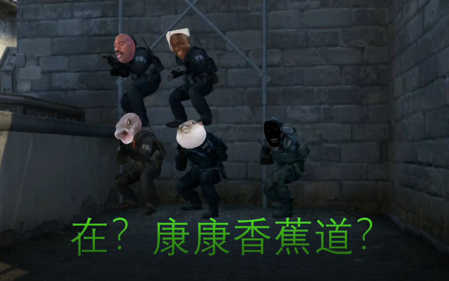 [图]康 康 香 蕉 道【csgo】