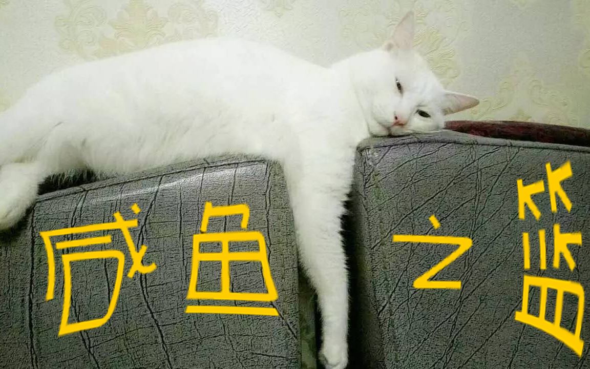 coc跑团replay咸鱼之篮p1一位乘客突然跟咸鱼躺在了一起