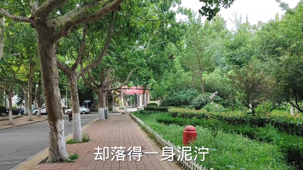 [图]实拍山东省著名高等学府 齐鲁工业大学，校园风景优美。