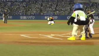 井口裕香小倉唯始球式 埼玉西武 オリックス 哔哩哔哩 Bilibili