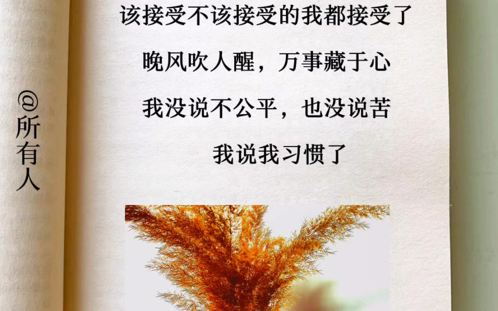 该接受不该接受的我都接受了,晚风吹人醒,万事藏于心,我没说不公平