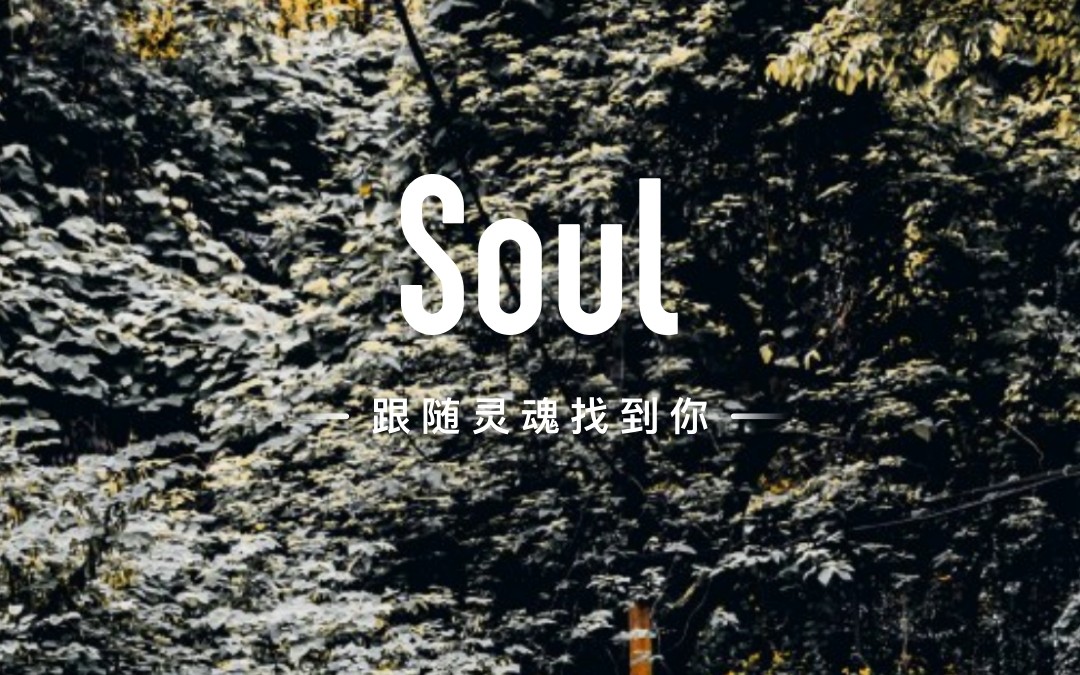 soul 我的收藏 琐碎瞬间 大神云集哔哩哔哩bilibili