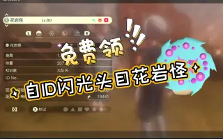 闪光花岩怪 哔哩哔哩 Bilibili