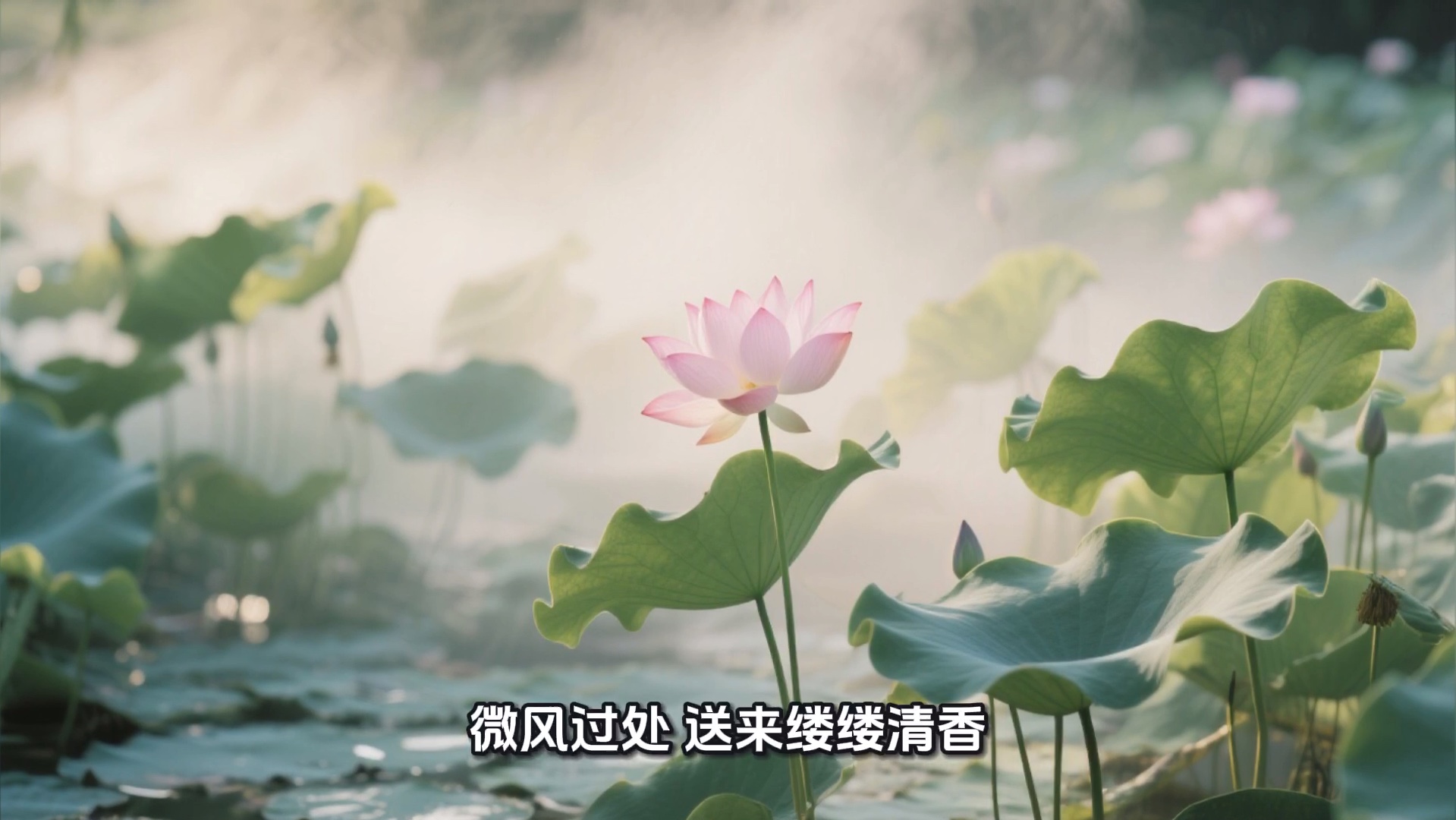 朱自清《荷塘月色》