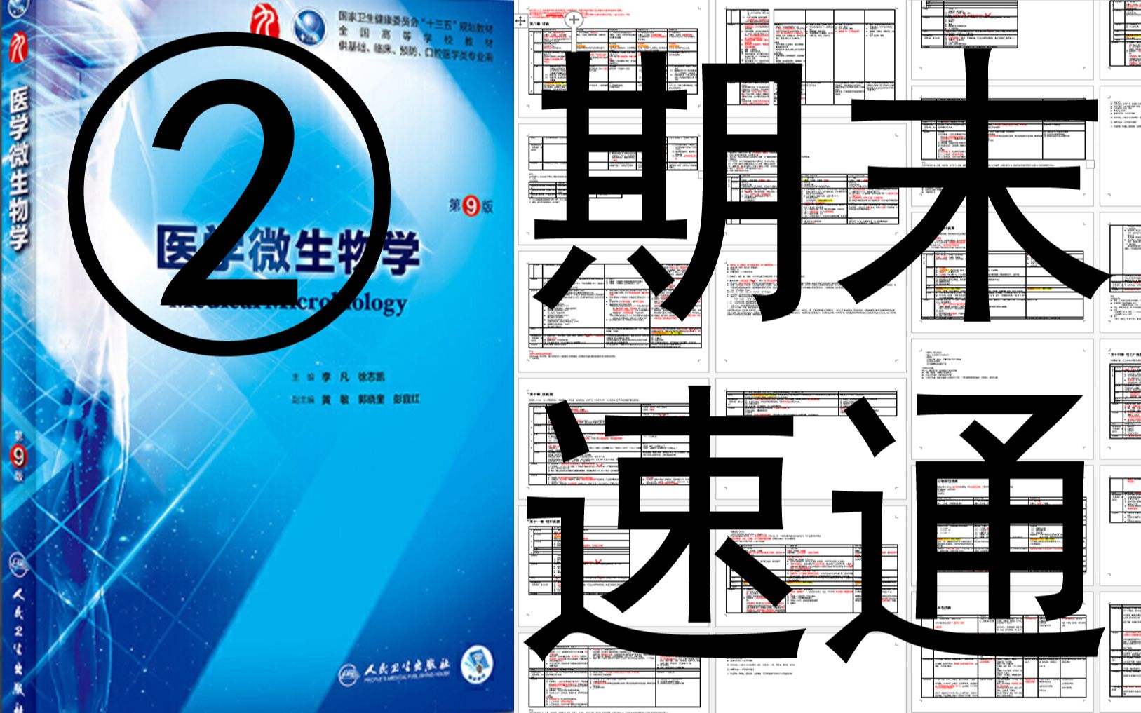 【医学微生物学期末复习必备②】38种病毒A3版式超大表格整理25页两万五千字up主纯手工打字整理总结By呼同学哔哩哔哩bilibili